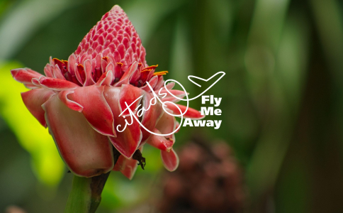 Ceļojums uz ekvatoriālo tropu paradīzi - Sao Tome un Prinsipi